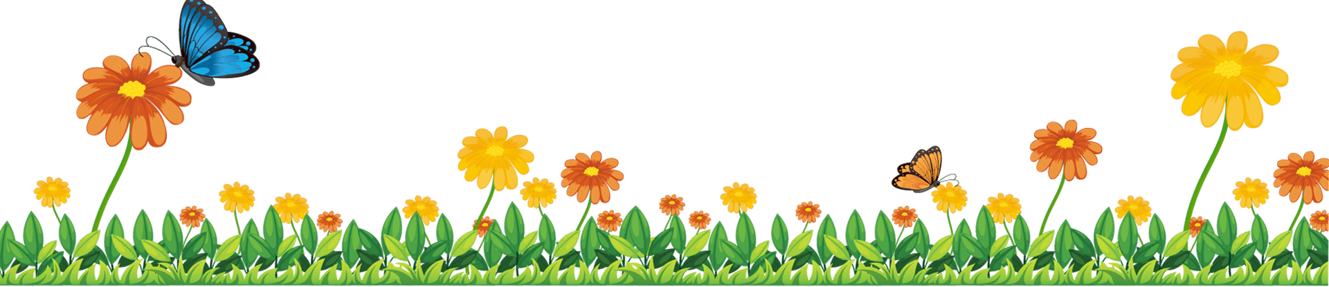 Green grass ,Flowers and butterfly-Cyboard School