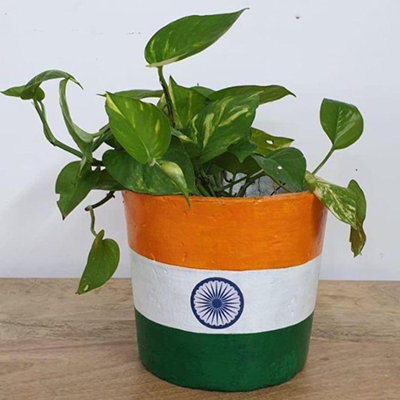 Indian flag tricolor planter